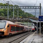 IR 26 - Treno Gottardo