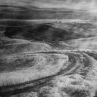 IR April Tuscany view