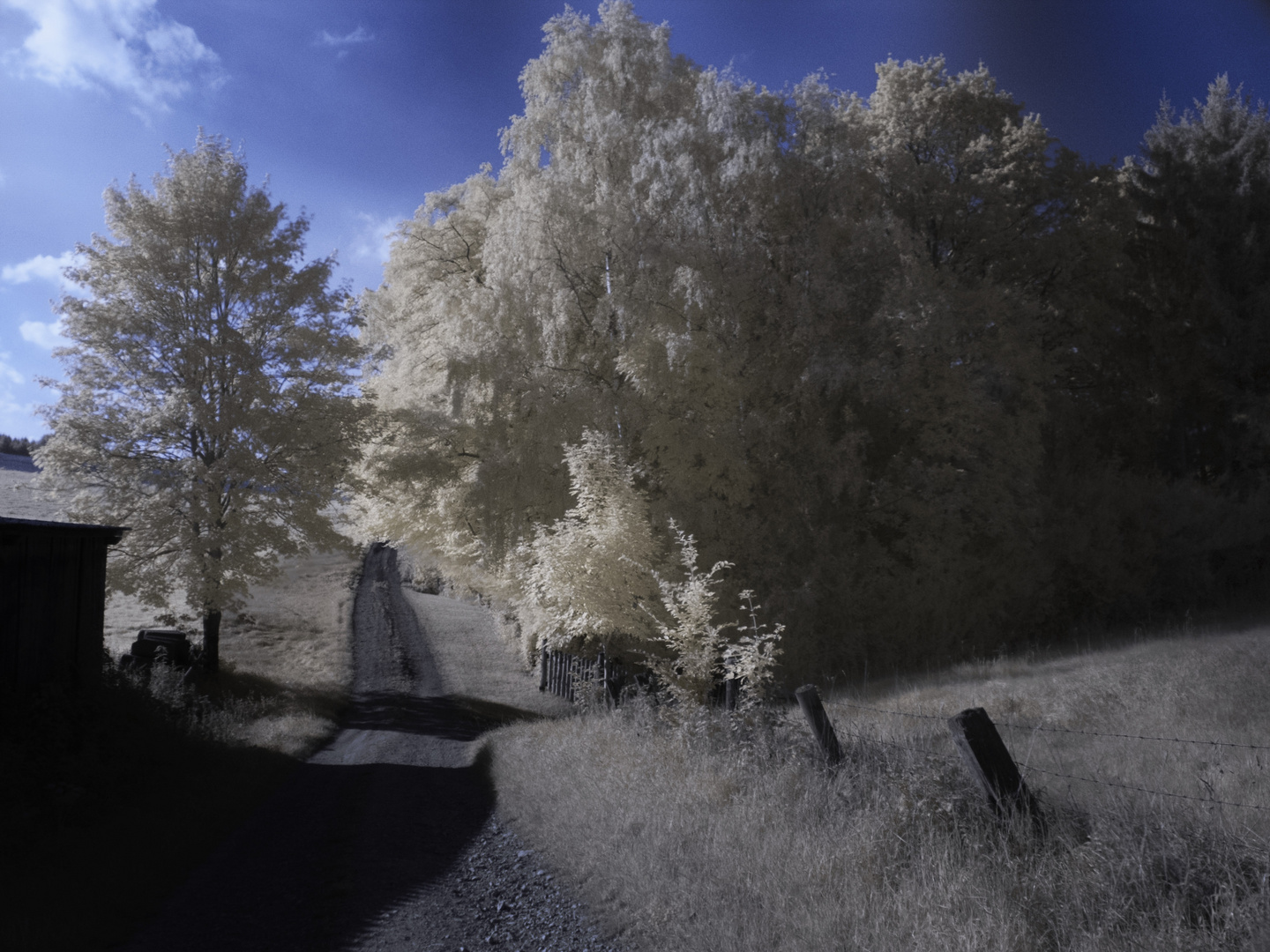 IR Feldweg