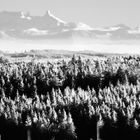 IR Fotografie der Alpen vom Schliffkopf im Nordschwarzwald