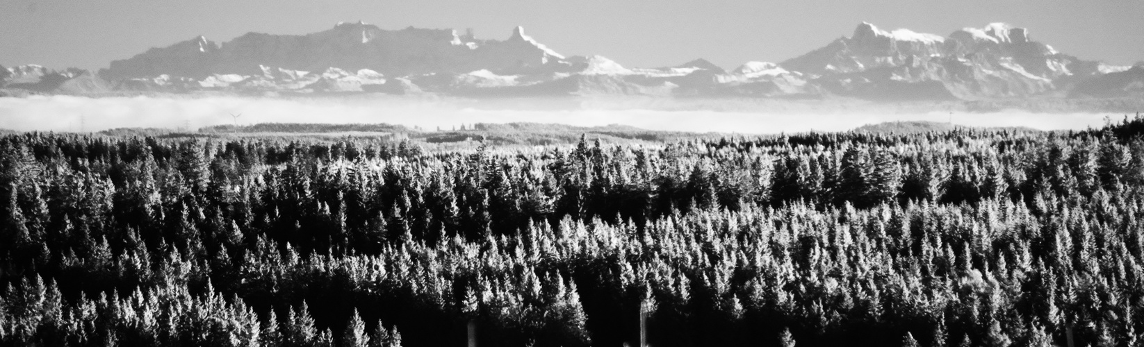 IR Fotografie der Alpen vom Schliffkopf im Nordschwarzwald