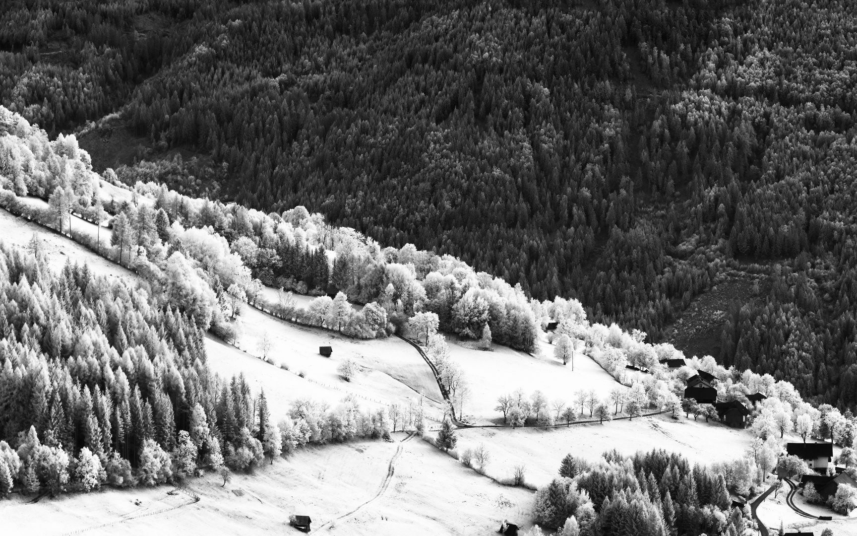 IR Fotografie in Kärnten