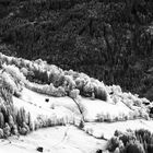 IR Fotografie in Kärnten