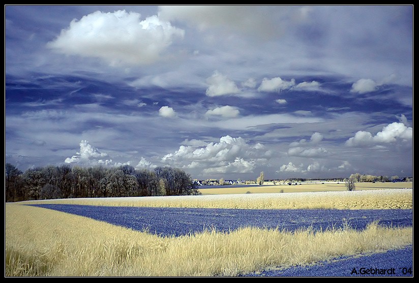 IR Frühling