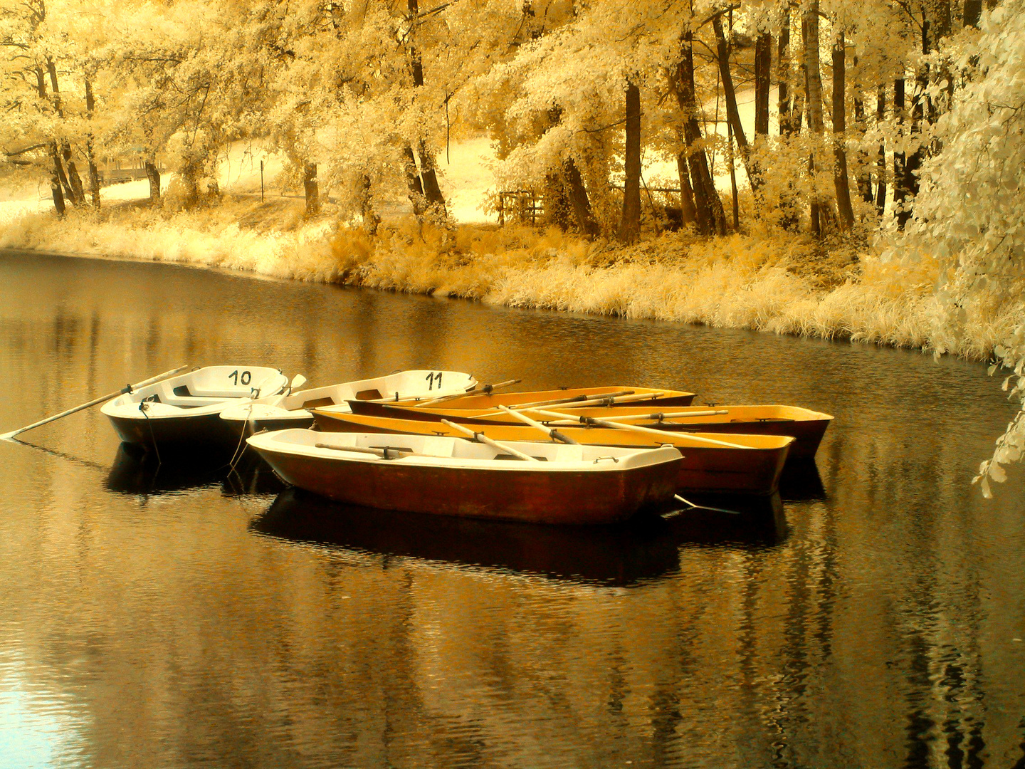 IR-Hilschweiher 004