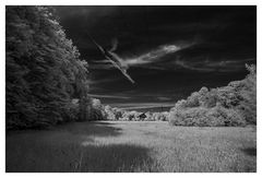 IR-Landschaft #1