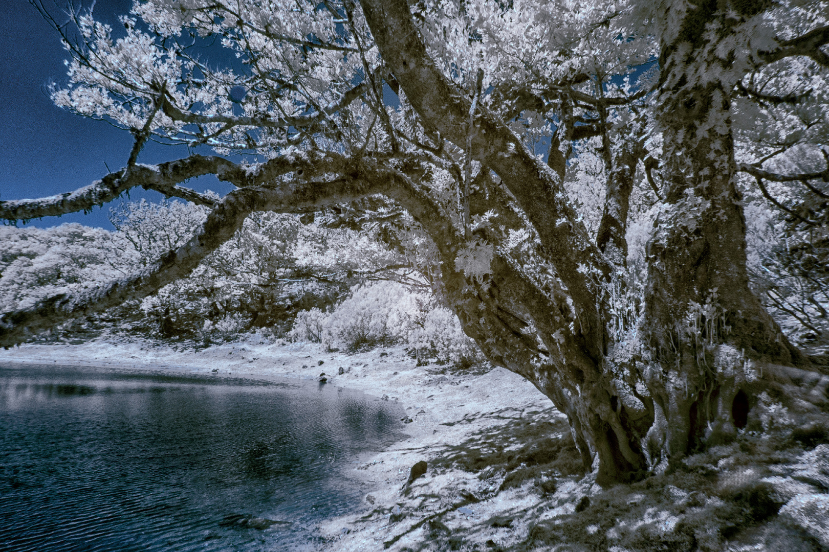 IR-Madeira