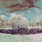 IR Panorama