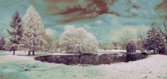 IR Panorama