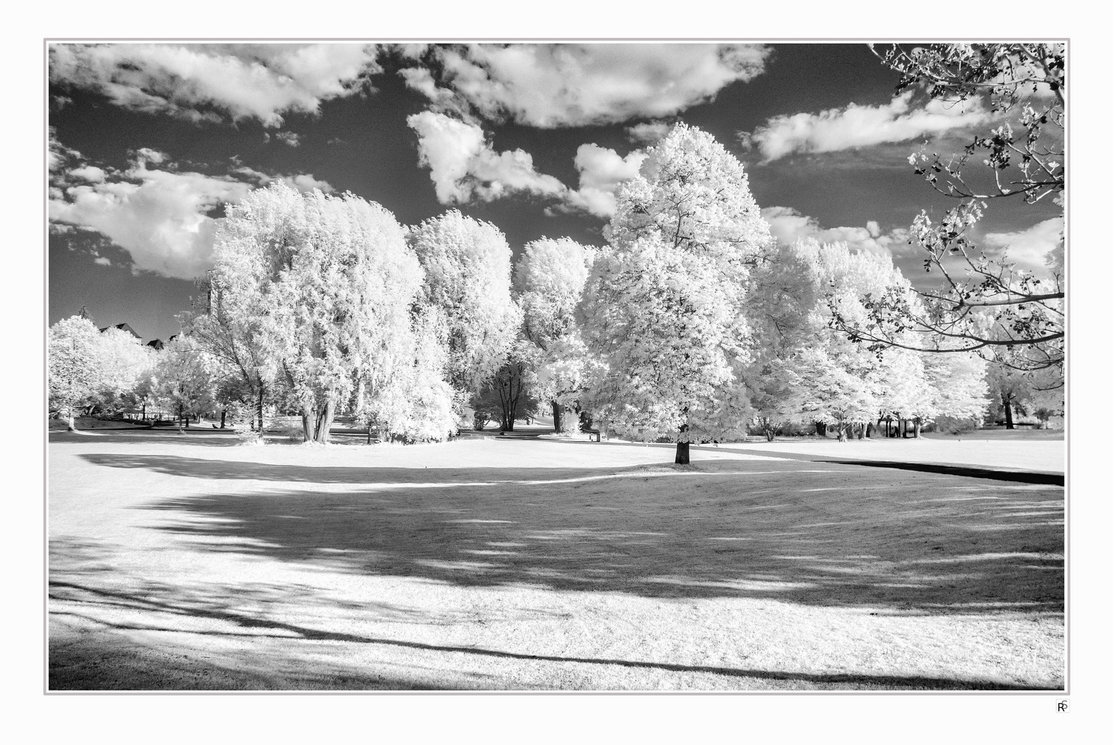 IR-Sommer im Park