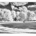 IR-Sommer im Park