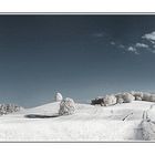 IR-Sommer in Bayern