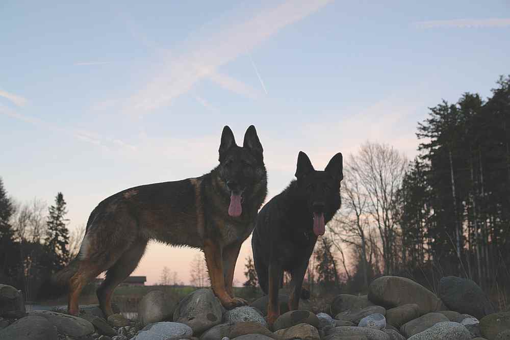 Ira und Rodo beim Sonnenuntergang