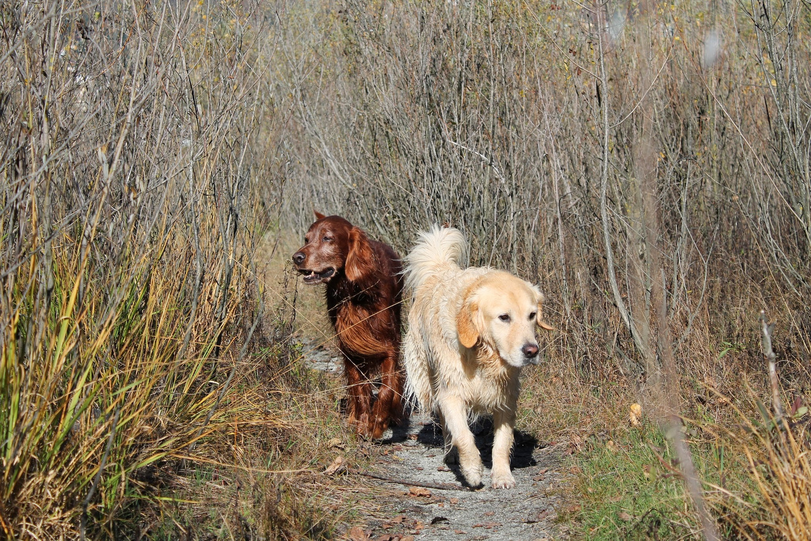 Ira und Sila am Lago Maggiore