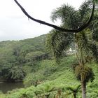 Iraivan Temple, Kauai