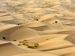 Iran Kavir Desert Farahzad