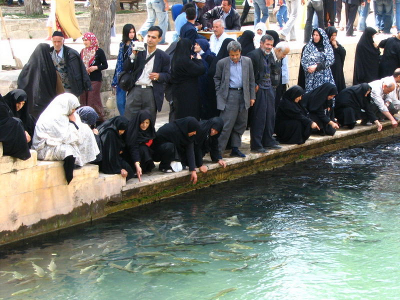 Iranian Pilgrims