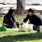 Iranisches Picknick