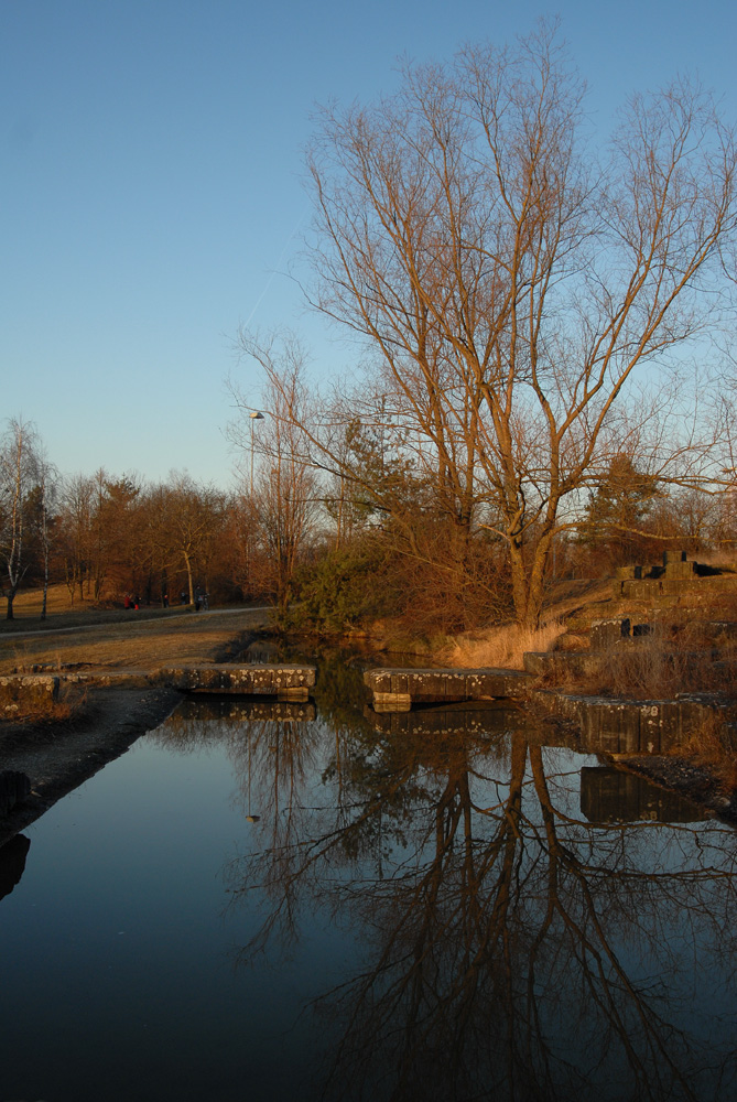 Irchel park, sunset.