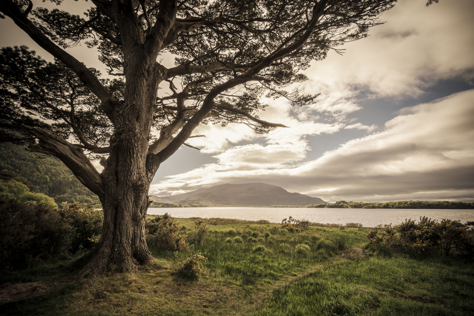 Éire | Ireland