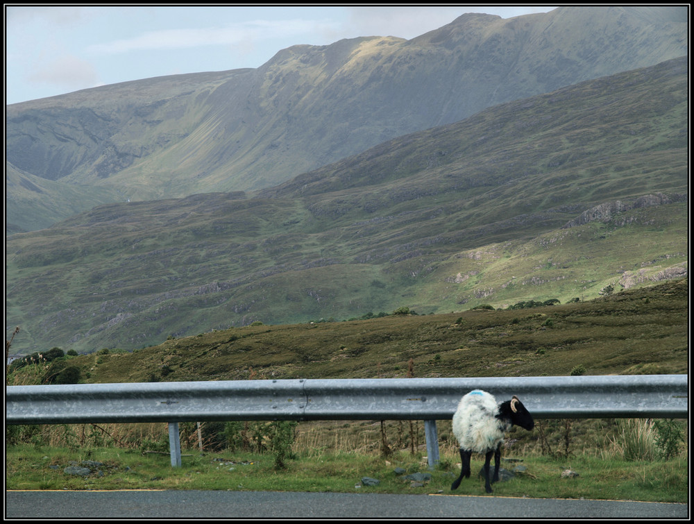 Ireland - Lonely hitchkiker