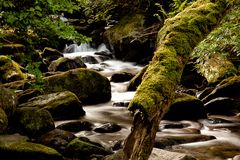 Ireland Waterfall II