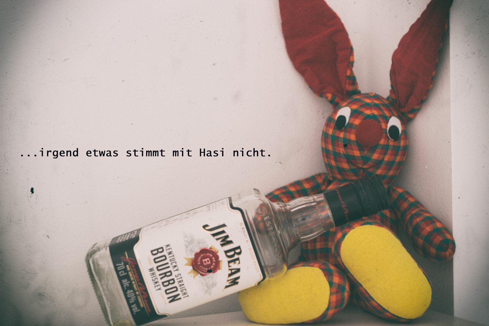 Irgend etwas stimmt mit Hasi nicht Foto & Bild quatsch, fun und