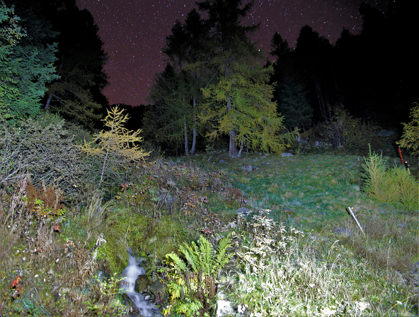 Irgend wo in den Bergen von Poschiavo Herbst 2019 