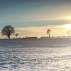 Irgendein Feld irgendwo in Schleswig-Holstein bei einem schönen Sonnenuntergang im Winter 