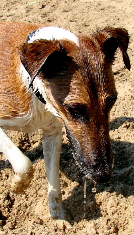 irgendetwas hängt da an meiner nase - sand ist es dieses mal nicht :-))