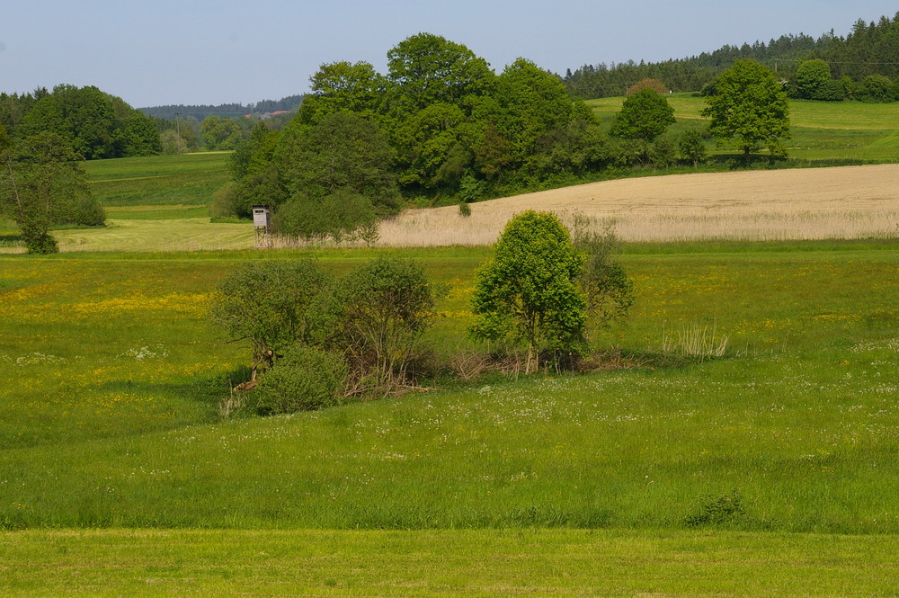 irgendwann im Sommer 2007