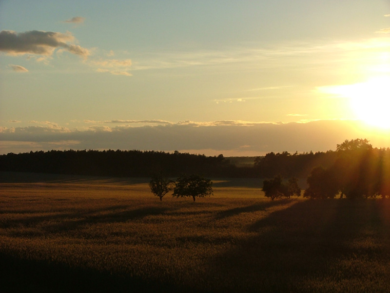 irgendwann im Sommer