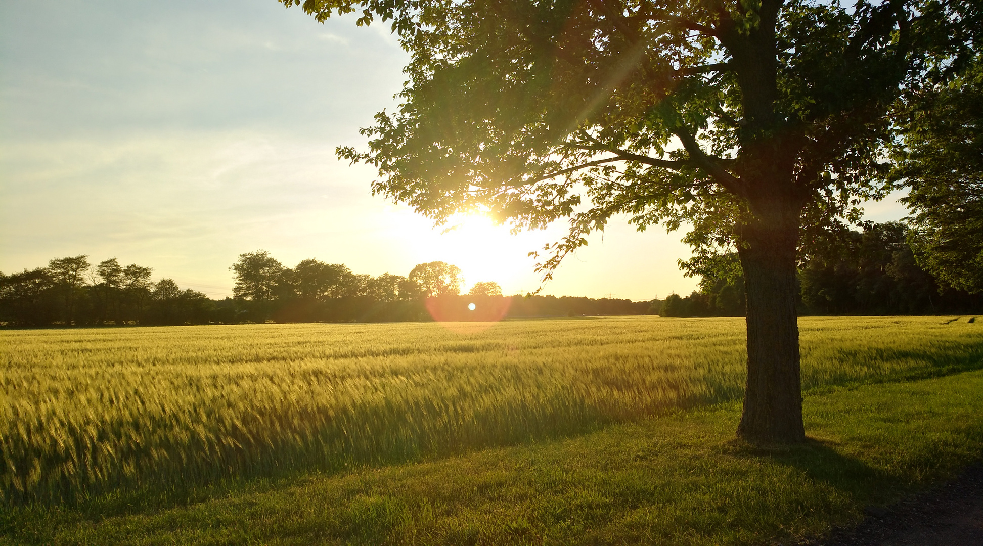 Irgendwann wird´s wieder Sommer