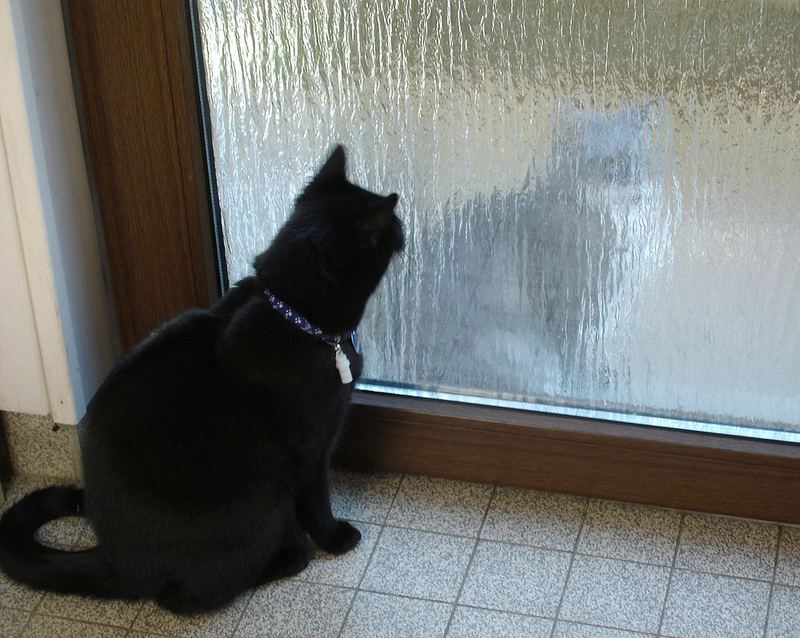 "Irgendwas stimmt mit meinem Spiegelbild nicht!"