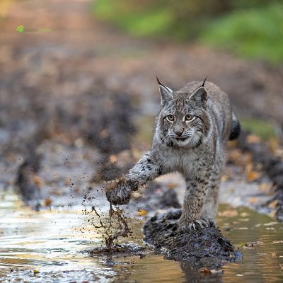 Irgendwie eklig ist Wasser ja doch
