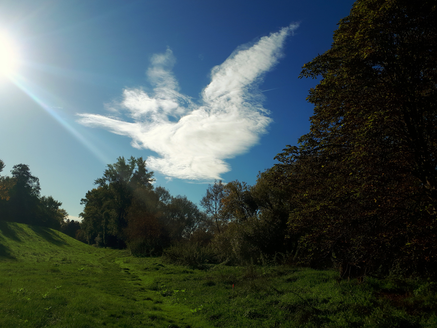 Irgendwie fand ich diese Wolke toll und wollte sie Euch nicht vorenthalten