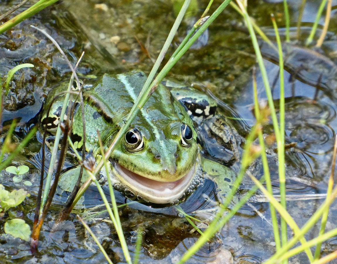 Irgendwie hatte ich das Gefühl........