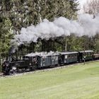 Irgendwie hatte ich die Garteneisenbahn etwas kleiner in Erinnerung...