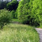 Irgendwie ist da eine Wildnis vor unserer Haustür