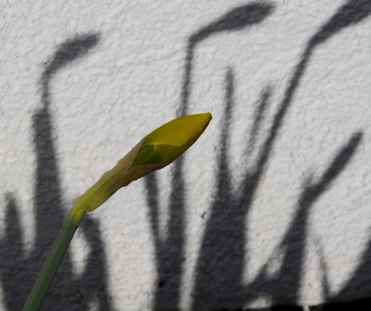 Irgendwie schafft es die Sonne doch immer wieder.