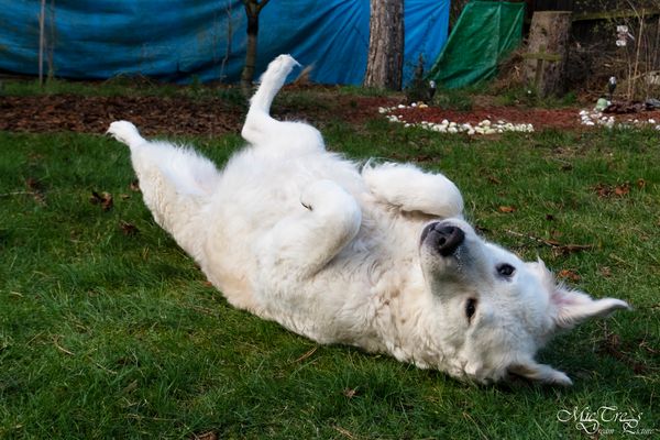 Irgendwie verar....mich die gute...