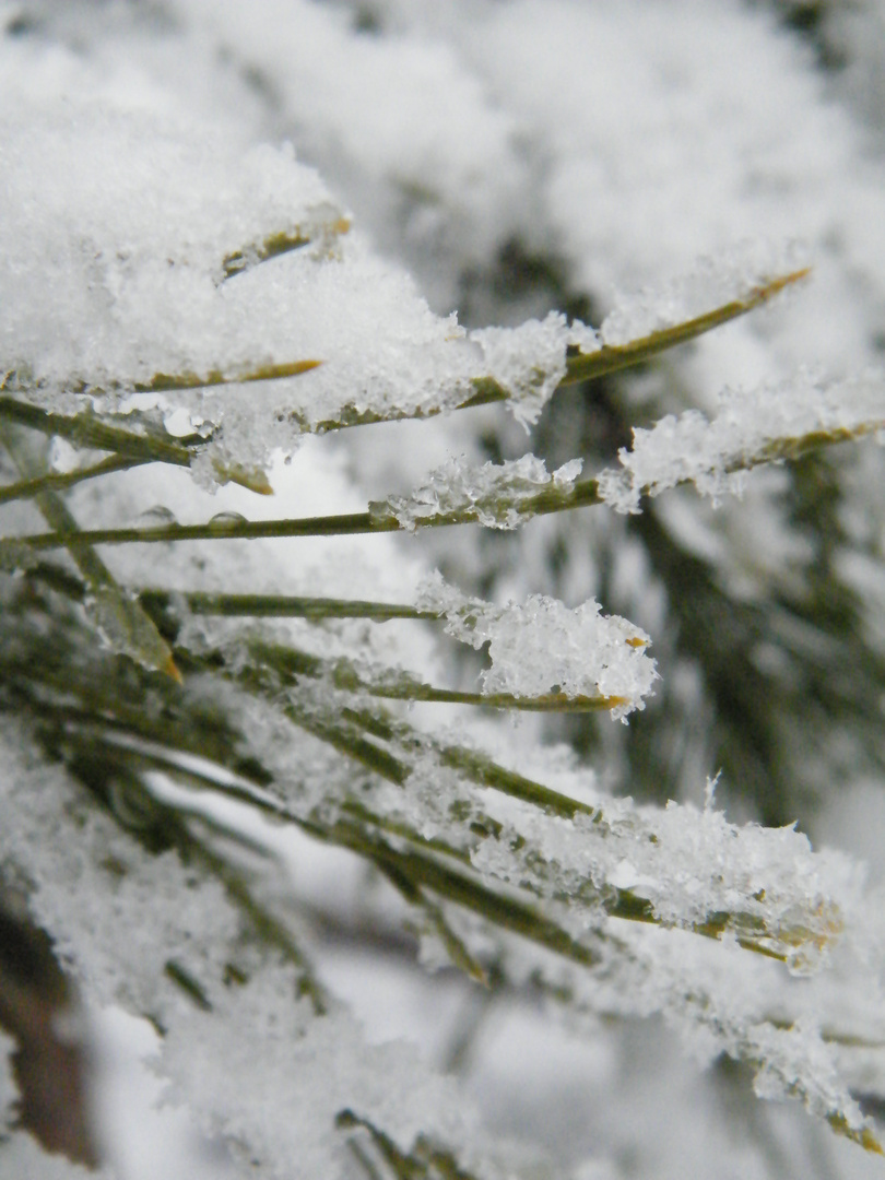 Irgendwie vermisse ich den Schnee..