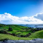 irgendwie wie im Auenland...Lough Corrib