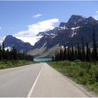 Irgendwo am Icefield Parkway...