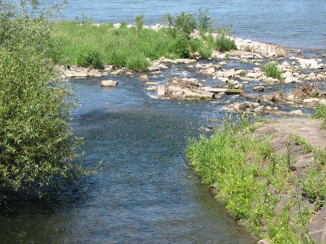 irgendwo am Meer?-nein Düsseldorf-Kaiserswerth