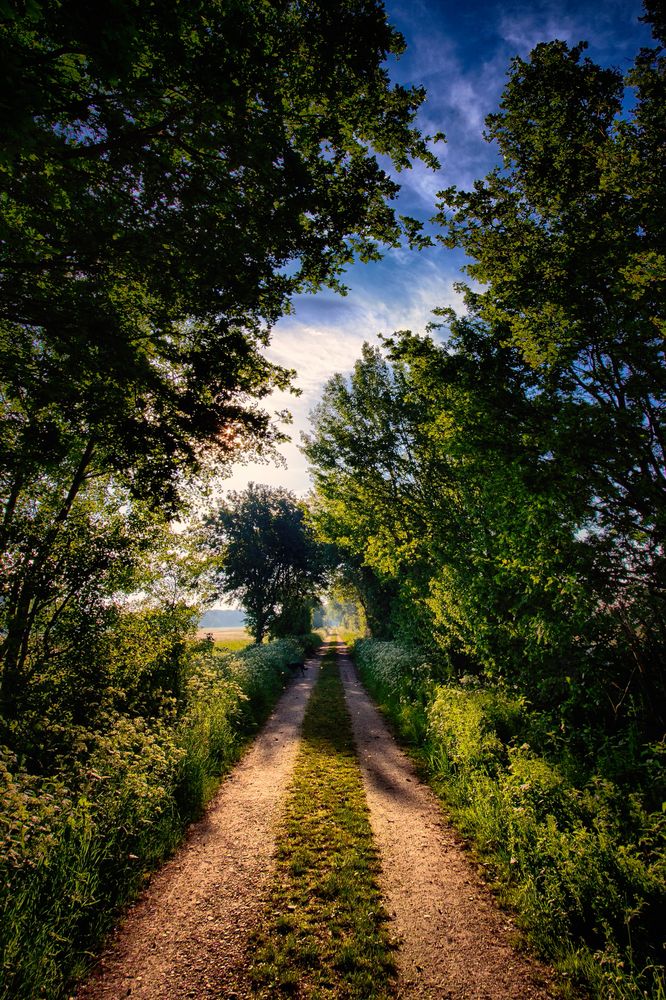 Irgendwo am Niederrhein