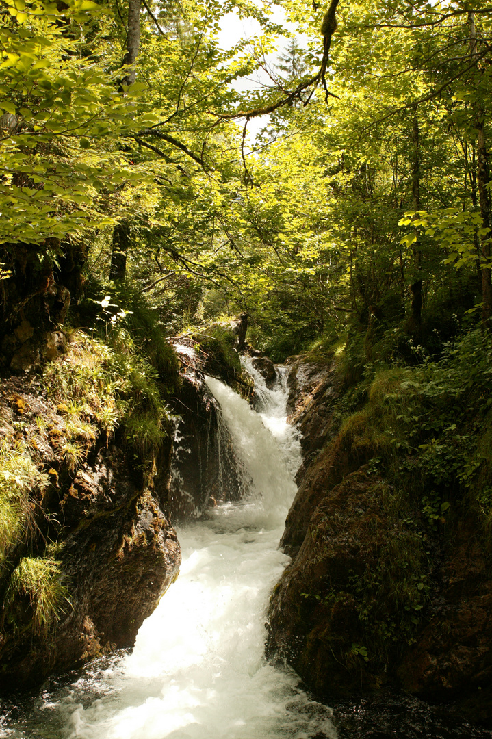 Irgendwo am Tegernsee