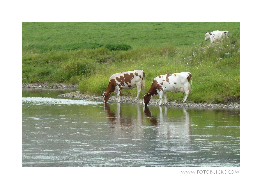 Irgendwo an der Weser