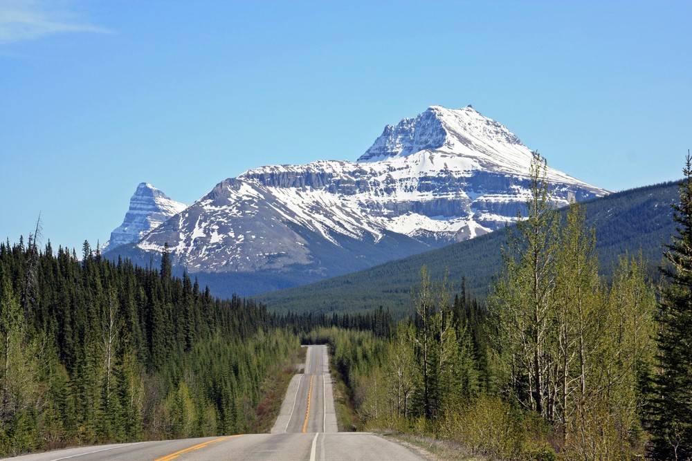 Irgendwo auf dem Icefields Parkway Richtung Lake Louise