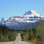 Irgendwo auf dem Icefields Parkway Richtung Lake Louise